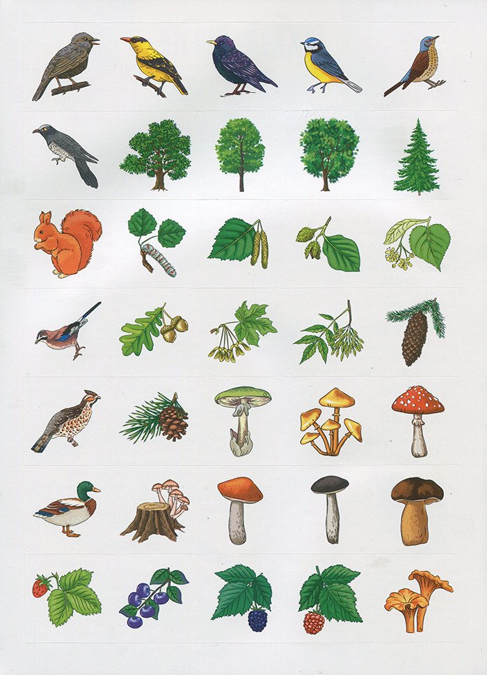 Енциклопедія з наліпками.Лісові тварини та рослини