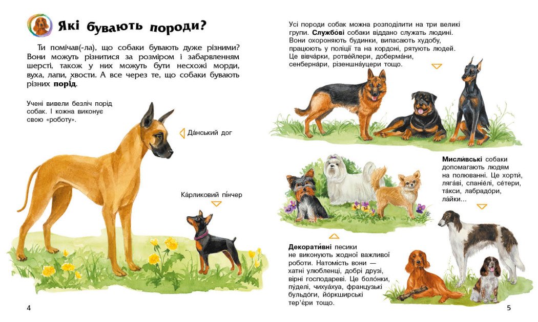 Собаки. Енциклопедія дошкільника
