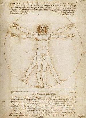 Анатом Леонардо да Винчи