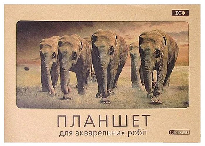 Папка-планшет «Еко. Слони» для акварельних робіт