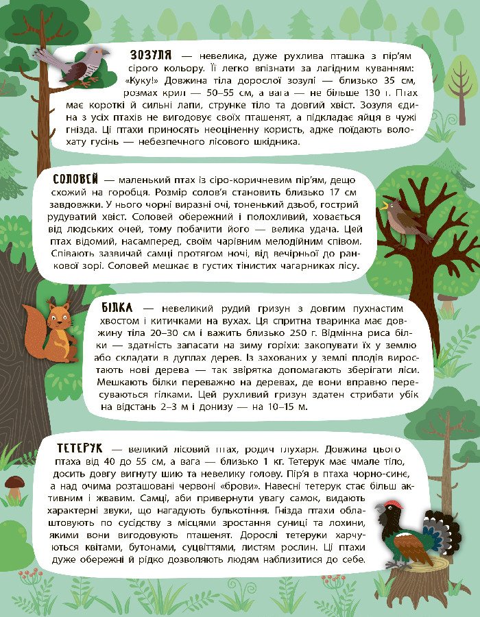 Панорамка-енциклопедія. Таємничий ліс