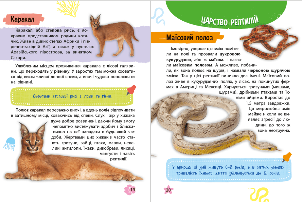 Мініенциклопедія. Тваринний світ