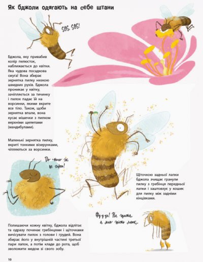Усе про бджіл... і не тільки