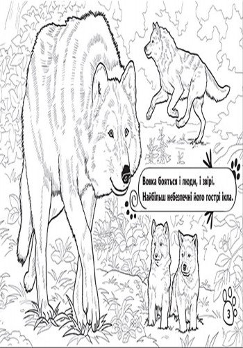 Розмальовка «Тварини». У лісі