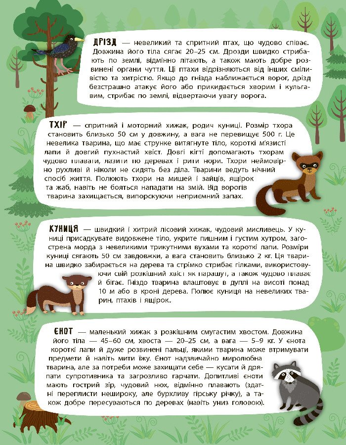 Панорамка-енциклопедія. Таємничий ліс