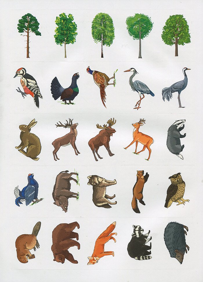 Енциклопедія з наліпками.Лісові тварини та рослини