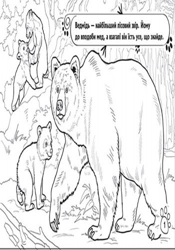 Розмальовка «Тварини». У лісі